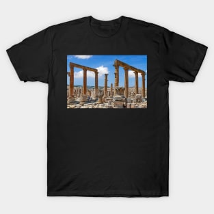 Jerash4 T-Shirt